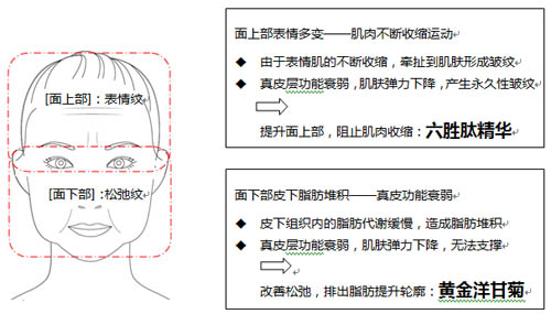 当前图片注释